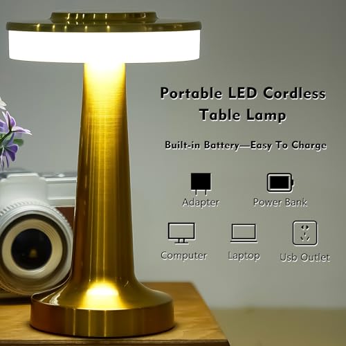 Image of Riakrum 1 Pcs LED Cordless Table Lamp Bulk Rechargeable,Gold