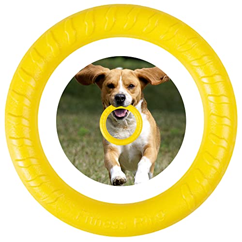 QEEROYO Hunde Fitness Ring, Hundebiss- und Trainingsring für Kleine, Mittel- und Große Hunde, Spielzeug wie Beissring und Flugscheibe, Gelb