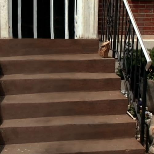 From the Stoop cover art