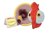GIANTmicrobes Chickenpox Plush –Learn about Vaccines and Microbes with this Educational Plush, Memor