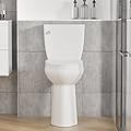 SouNor Extra Tall Two Piece Toilet with 20-inch 21-inch Bowl For Seniors,Taller Adults (White, 21" Extra Tall Toilet)