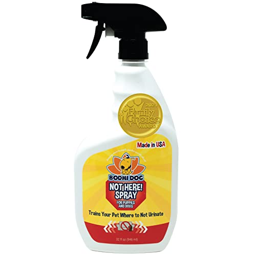 Keep Your Dog Safe and Protected How to Use Dog Spray Effectively