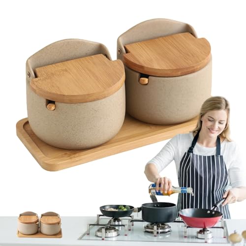 ycezw Porta sal con tapa, recipientes para sal de apoyo – 2 recipientes para sal de cerámica con tapa de cuchara de madera – Porta sal de apoyo, tarro para la conservación