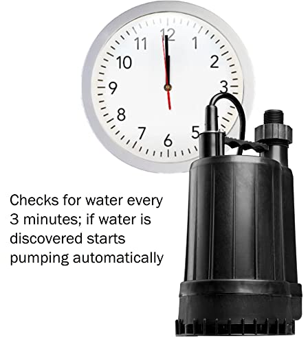 Red Lion Rl-Mp25A 115 Volt, 1/4 Hp 2200 Gph Automatic Thermoplastic Submersible Utility Pump, 10-Ft. Cord, Black, 14942735 #TOP1