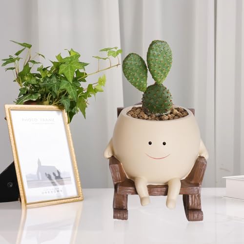 QIAOLY Rocking Chair Face Resin Planter Pot with Drainage Cute Flower Pots for Succulents Plants Live Indoor Outdoor Planters for Houseplants Gift Small (Small)