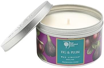 Royal Horticultural Society Festive Fruit Fragrance Scented Candle Tin Purple One Size
