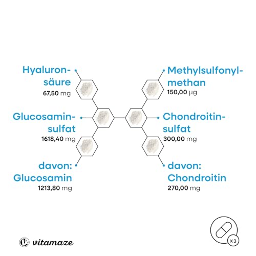 Vitamaze Kapseln hochdosiert mit Glucosamin + Chondroitin + Hyaluronsäure + MSM, 90 Kapseln als 1 Monatskur, Natürliche Nahrungsergänzung ohne Zusatzstoffe, Made in Germany