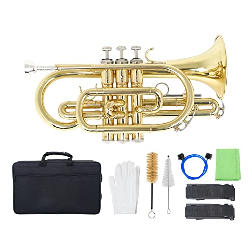 vtFbViBbtbgRlbg^JL[P[X܃N[jONXuVǊygybgy