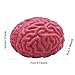 Imagen de Juguete De Bola Anti-Stress Cerebral