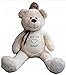 Riesen Teddybär Auswahl XXL 170 cm | Farben: braun, creme oder grau | Kuscheltier Stofftier Plüschbär Teddy (creme)