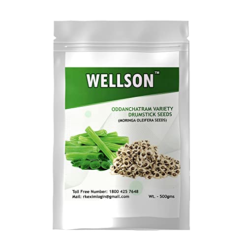 Image of WELLSON Moringa Seeds - Oddanchatram Variety Drumstick Seeds for Vegetable Plantation Seeds /Moringa Oleifera Seeds (500g) (SAIJAN KI PHALLI, SARAGAVO)
