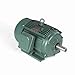 Leeson Electric 170117.60 - General Purpose Motor- Special Voltage - 3 ph, 20 hp, 1800 rpm, 575 V, 256T Frame, Totally Enclosed Fan Cooled Enclosure, 60 Hz, Rigid base Mount