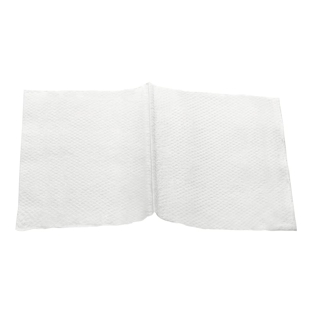 EZ-Pull Premium - Servilleta dispensadora de 2 capas + plegadas, dispensador de servilletas en V para restaurantes, blanco reciclado, 24 x 250 hojas, P2N2L (N4)