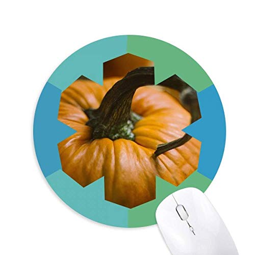 VNȃJ{`G̎Rʐ^ ~`S̐}EXpbh