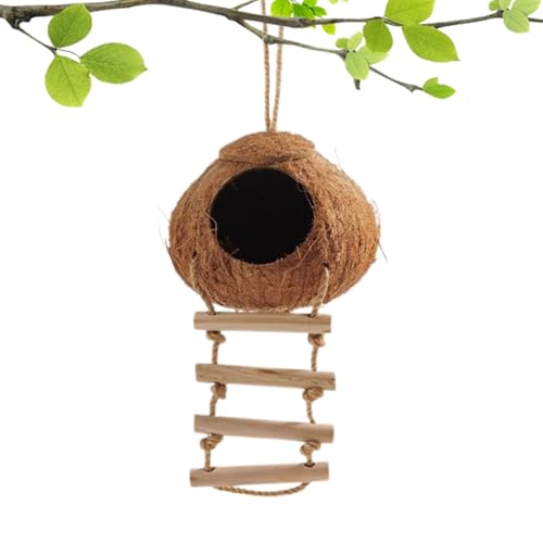 Bird House | hRRV@ CRxbh,YExep VъKit IE ZLZCCR {^CR u`E JiAΉ