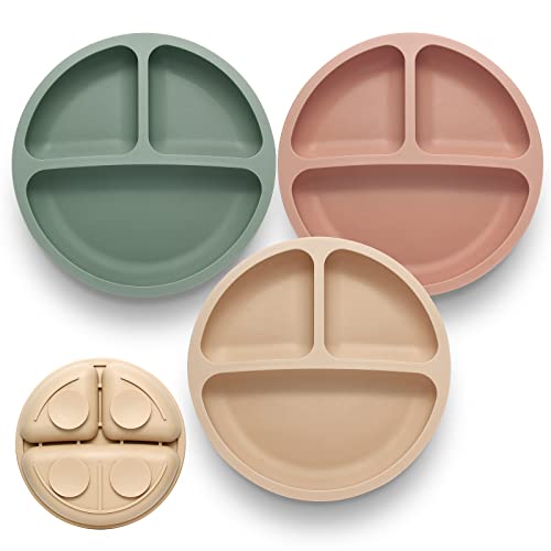 Top 10 Silicone Plates For Toddlers of 2022 Katynel