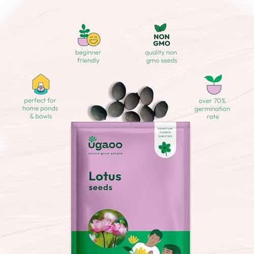 Image of Ugaoo Lotus Seeds for Planting with Sandpaper - Pack of 20 Seeds | High-Germination Lotus Seeds for Planting in Water, Home Garden & Ponds