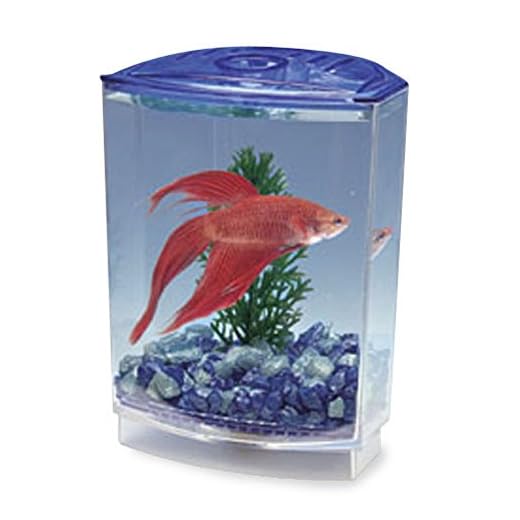 Penn-Plax Betta Bowfront Aquarium Tank Kit