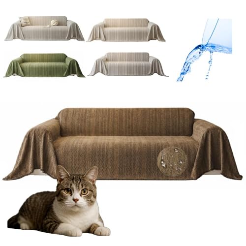 Lifetips AJC[wA American Wirehair \t@[Jo[ k  􂦂 h }`Jo[ 2l| 3l| It IȂ ~ Eh~ LΉ lGʗp iuEj i230180CMj