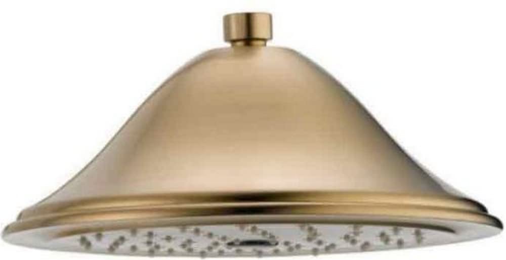 Delta Faucet RP72568CZ Cassidy Showerhead, Champagne Bronze