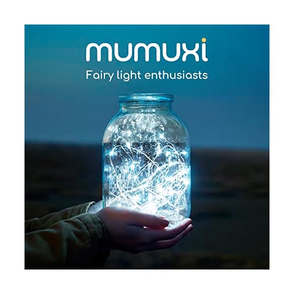 Mumuxi 20 pack fairy lights - image 9