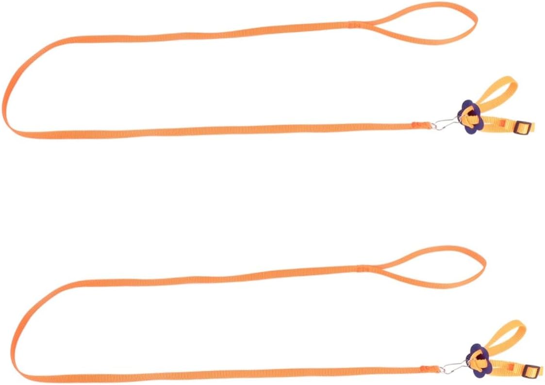2pcs Pet Pulling Rope Lightweight and Hamster Turtle and Lizard Leash for Outdoor Walking and Hiking Activities for Animals
