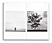 Cocu Liu (Trope Mobile Editions, 1)