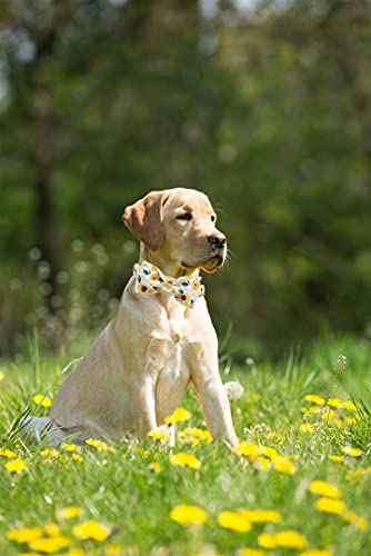 Image of Elegant little tail Sunflower Print Dog Collar, Girl Dog Collar with Bow Adjustable Soft Bow tie Dog Collars for X-Large Dogs