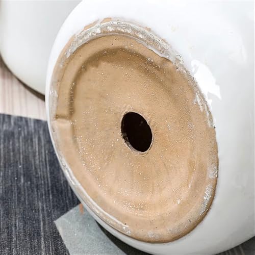 Pots de fleurs ronds avec drainage et support pour plantes - 4