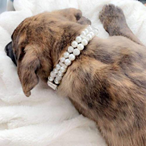 Halsband für Hunde,Hundehalsband mit Perle,Hunde-Katzen-Mode-PU-Leder-Perlenhalsband mit Bling-Strass-Diamant,Verstellbares Chihuahua-Hundehalsband für Hunde,Katzen,Welpen,Kätzchen,M,1.5X33cm