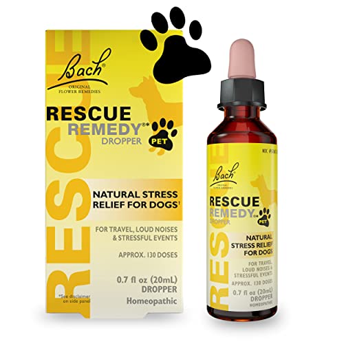 Top 7 Best Calming Aid For Cats Picks For 2022 BNB