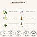 DR WIMA BEAUTY Hair Complex Oil for healthy scalp & hair growth | Contains 14 Plant-Based All Natural Hair Growth Oils | 1.7 oz MADE IN USA
