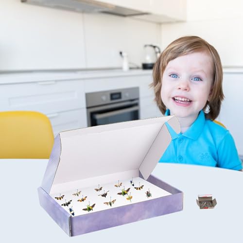 Image of 4 PCS Insect Pinning Boxes for Entomology, Suitable for Project Bugs Collection and Specimen Displays, 7.9 x 5.5 x 1.6 Inch