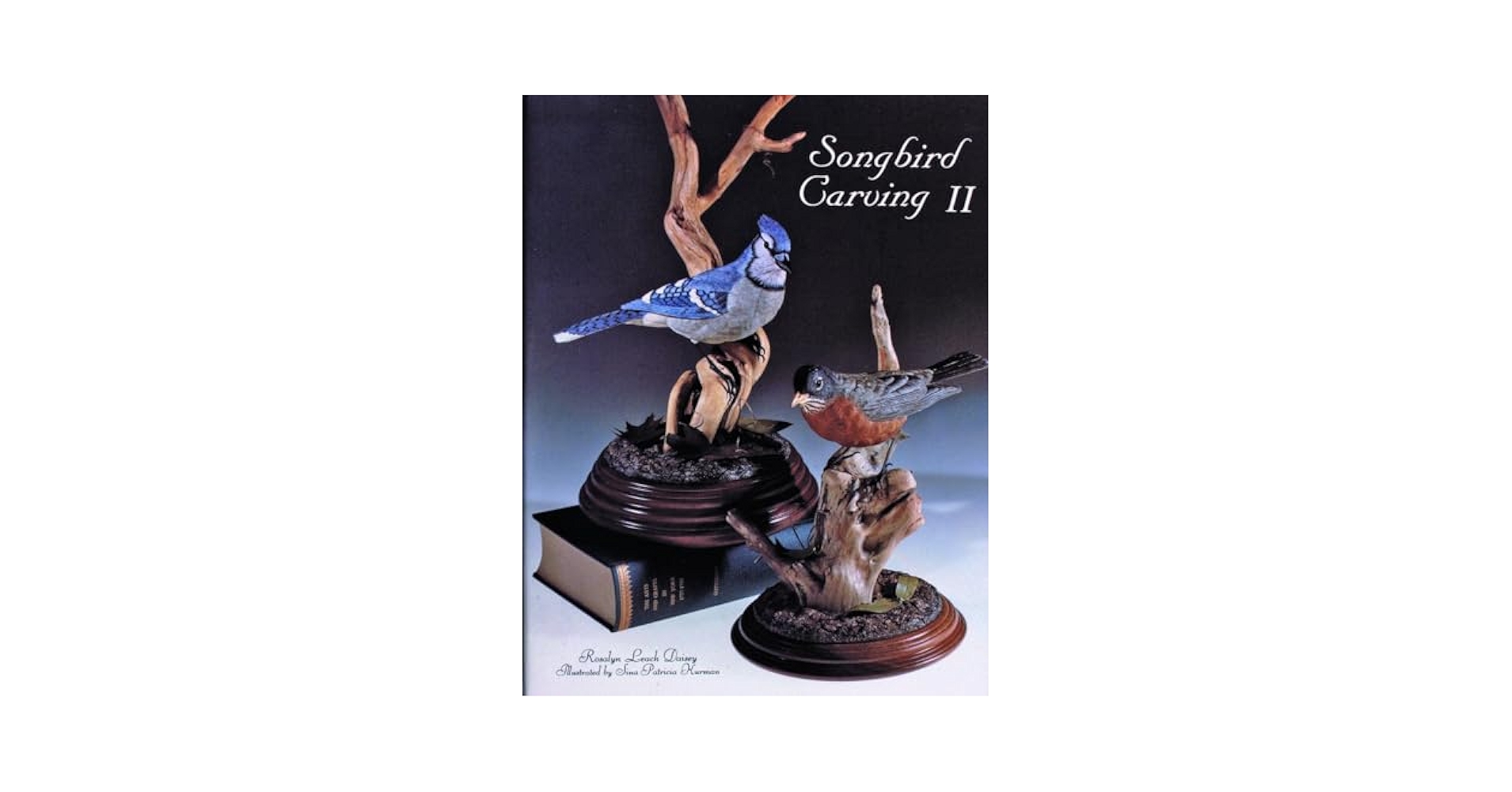 Songbird Carving II: Daisey, Rosalyn: 9780887401190: Amazon