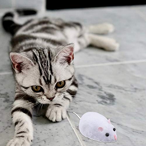 Kisangel 1 conjunto de mouse eletrônico com truques de queijo, brinquedos de perseguição, brinquedos