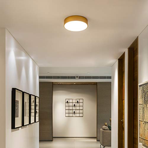 Lanros Modern Gold Flush Mount LED Ceiling Light Fixture, 13.8-inch Simple Drum Ceiling Lighting with 4000K Neutral White for Dormitiry Hallway Bedroom Foyer Kitchen,18W, 1530LM, Non Dimmable