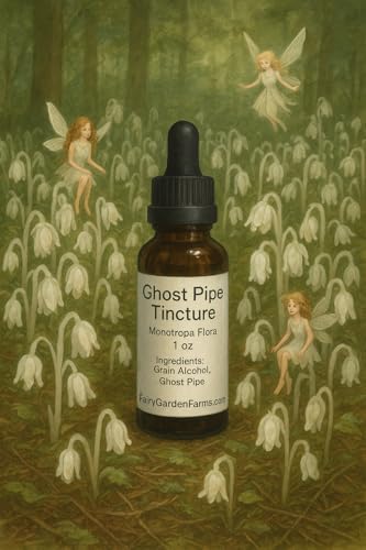 Ghost Pipe Tincture 4pipe/Ounce Extra Strength Strong Monotropa Flora, 1/2 oz, Fairy Garden Farms