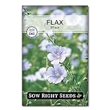 Sow Right Seeds - Blue Flax Seeds for Planting - Non-GMO Heirloom Packet with Instructions to Plant an Outdoor Wildflower Garden - Striking Blue Perennial Native, Drought Tolerant for Home Gardens (1)