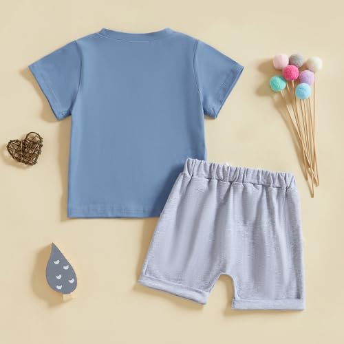 Baby Boy Summer Clothes Toddler Infant Outfit Short Sleeve Letter T Shirt Tops and Stretch Shorts Clothing Set3