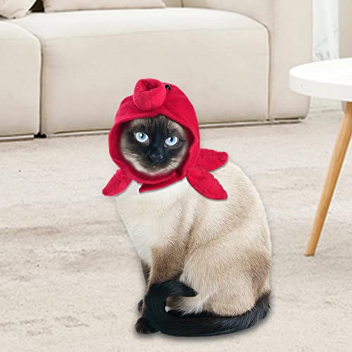 gazechimp Chapéu de e gato chapéu roupa de roupa de animal bonés para festa de gatinho de Halloween