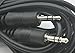 Steren 255-262 12-Feet 3.5 Stereo Plug to 3.5 Stereo Plug Patch Cable