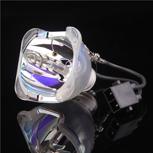 Ampoule POA-LMP145 haute luminosité pour SANYO PDG-DHT8000L