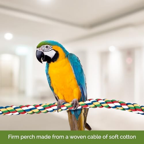JW Pet Comfy Perch For Birds Flexible Multi-color — shown in a real home setting for scale