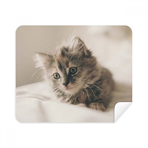 Chiffon écran de téléphone chat gris lot de 2 microfibres