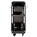 Eastwood 3-Tier Portable Welding Cart | Heavy Duty Gauge Steel | for Mig Welder & Plasma | Utility Cart Storage Organizer | Welding Accessories | Holds up to 125 Cubic ft Tank