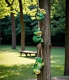 Wisifayardin 3pcs Hanging Frog Decor Frog Figurine and Statue Toad Sculpture Garden Yard Art Decorations Indoor Outdoor