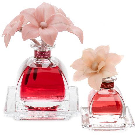 AGRARIA Cedar Rose AirEssence & PetiteEssence Diffuser Duo, 7.4 Ounces & 1.7 Ounces with Reeds and Flowers, Set of 2 Diffusers
