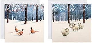 Hallmark Charity Christmas Card Pack - 10 Cards in 2 Photographic Gallery Collection Designs