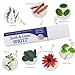 Tooth & Gums Spritz - Freshen Breath Instantly – Natural Breath Freshening Spray with Essential Oils | Alcohol-Free, Long-Lasting Freshness, Truly Natural - by Dental Herb Company