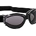 Birdz Eyewear Eagle Motorcycle Goggles (Black Frame/Smoke Lens)